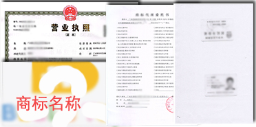广州商标注册详细资料图